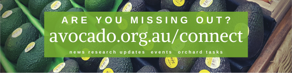 Do you receive all of Avocados Australia's communications?