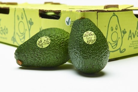 Korea fastest growing market for NZ avocados