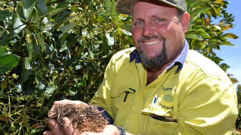 Mareeba avocado farmer wins major award