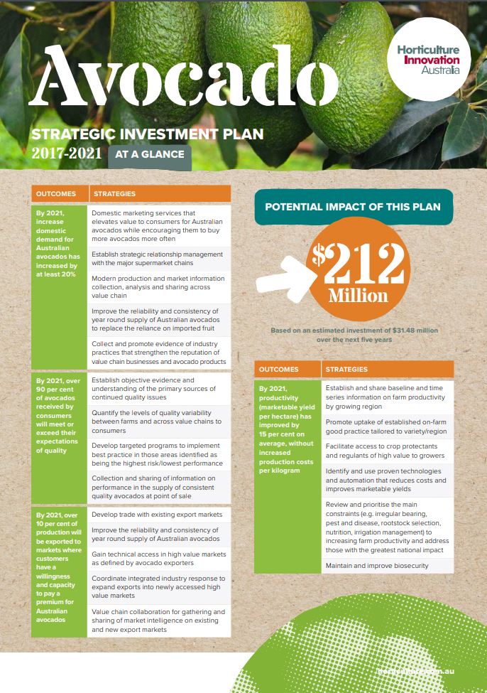 business plan for avocado farm